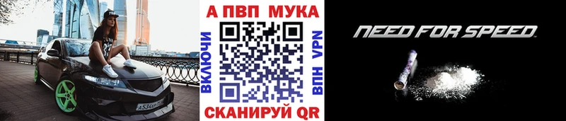 Купить где Губкин Alfa_PVP мука