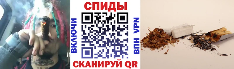 Купить закладки Губкин БУТИРАТ BDO