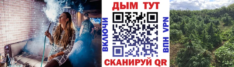 Купить  Губкин  Каннабис тримм 